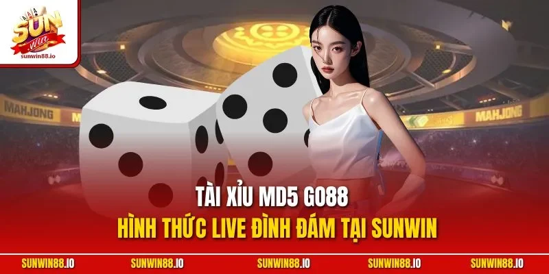 Tài Xỉu MD5 Go88 | Hình Thức Live Đình Đám Tại Sunwin